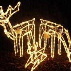 Indoor/Outdoor Light Rope Reindeer Family Large Stag, Doe And Baby With Warm White Lights