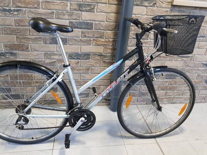 giant ladies bike( can deliver)