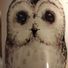 DonnOwl