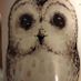 DonnOwl
