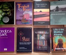 Irish Books Any Four Books for Twenty Euros (9 photos)
