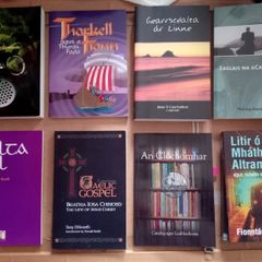 Irish Books Any Five Books for Twenty Euros (9 photos)