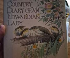 Vintage The Country Diary of an Edwardian Lady