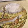 Vintage Royal Doulton Waterside The Pheasant Collectors Plate FOR A HOLDER OR HANGING Image 3