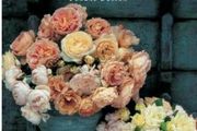 The New Flower Arranger: Contemporary Approaches to Flower Design by Fiona Barnett