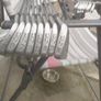 Royale Henry Cotton by George Nicoll Irons Golf Clubs Image 2