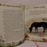 Classic Animal Stories book, By Miles Kelly Hardback Image 9