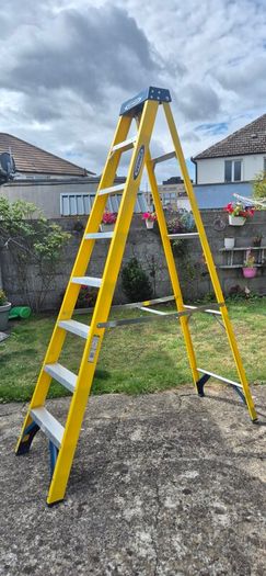 Werner 8 thread Fibreglass Ladder