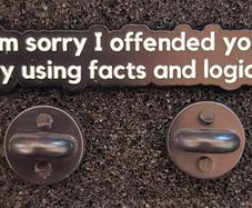 I'm sorry ,  pin back badge.