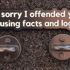 I'm sorry ,  pin back badge.