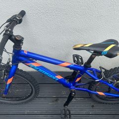 Momsen mountain bike boys