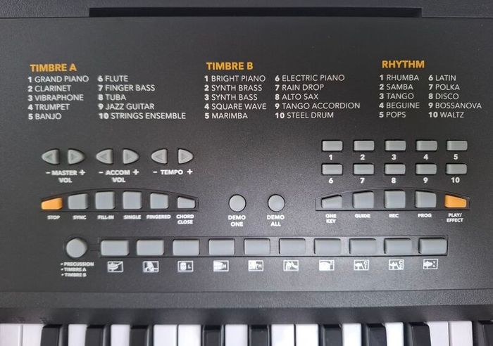 MK-1000 54-Key Portable Keyboard