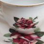 Antique Bohemia Tea Set Image 4
