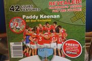 Louth GAA Yearbook 2010