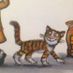 Macavity