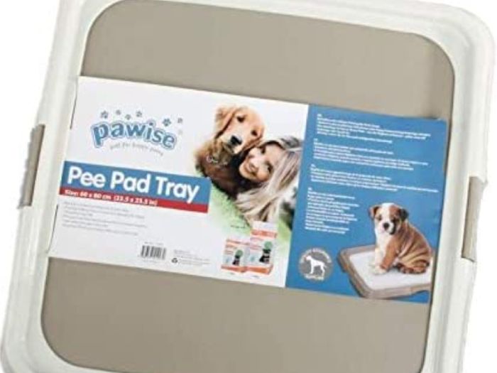 Puppy Training Tray