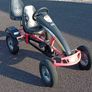Dino kart 2 seater Go Kart Image 2