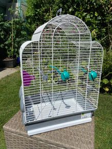Bird Cage