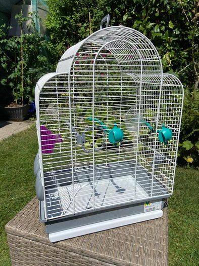Bird Cage