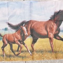 Horse and pony flag.