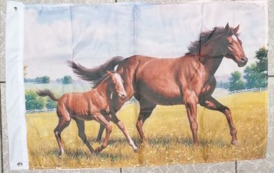 Horse and pony flag.