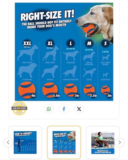 Chuckit! Dog Toy Ball Launcher. Rand new