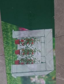 Greenhouse