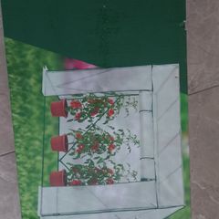 Greenhouse