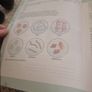 Level 2 Beauty Therapy, 3rd Edition: For S/NVQ Diploma Image 5