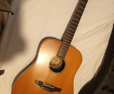 Acoustic Guitar Takamine