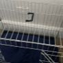 Dog cage Image 2