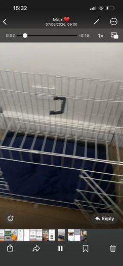 Dog cage