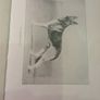 The Alsatian Wolf Dog Image 6