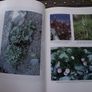 1996 "The Wild Plants of Sherkin, Cape Clear and Adjacent Islands of West Cork" edited by John Akeroyd Image 10