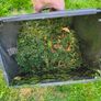 Lawnmower Image 9