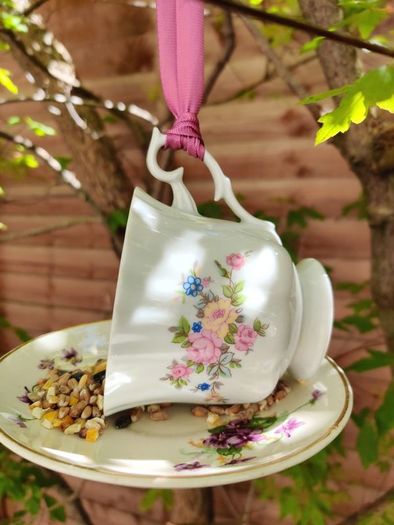 Bird feeder
