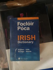 Focloir poca irish dictionary. An gum