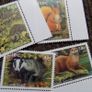 Irish Mammals 2002.Stamp set.Badger.Otter.Hedgehog.Red Squirrel.MNH. Image 2