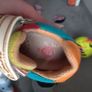 garvalin baby shoes size 22 Image 4