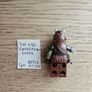 lego sw1196 gamorrean guard, set 75326, 75397 Image 2