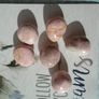Rhodochrosite tumblestones,Crystals,Gemstones,Healing crystals Image 7