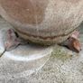 7 Pot feet.  Brand new Image 5