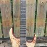Eart - EX H6 - Electric Guitar - New Image 3