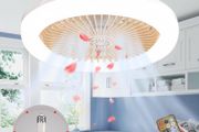 Brand New Ceiling Fan Chandelier, Ceiling Fan with Light,