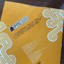 Gruff Rhys (Super Furry Animals) - Yr Atal Genhedlaeth (Limited Edition) Image 8