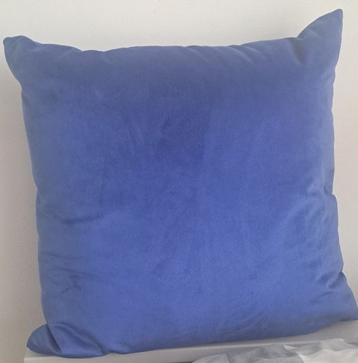 Pair of blue velvet cushions