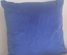 Pair of blue velvet cushions