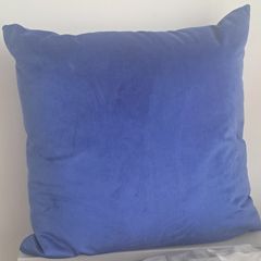 Pair of blue velvet cushions