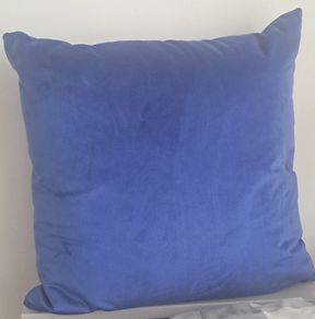 Pair of blue velvet cushions