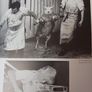 The Animal in Photography, 1843 - 1985/ 1986 Image 6